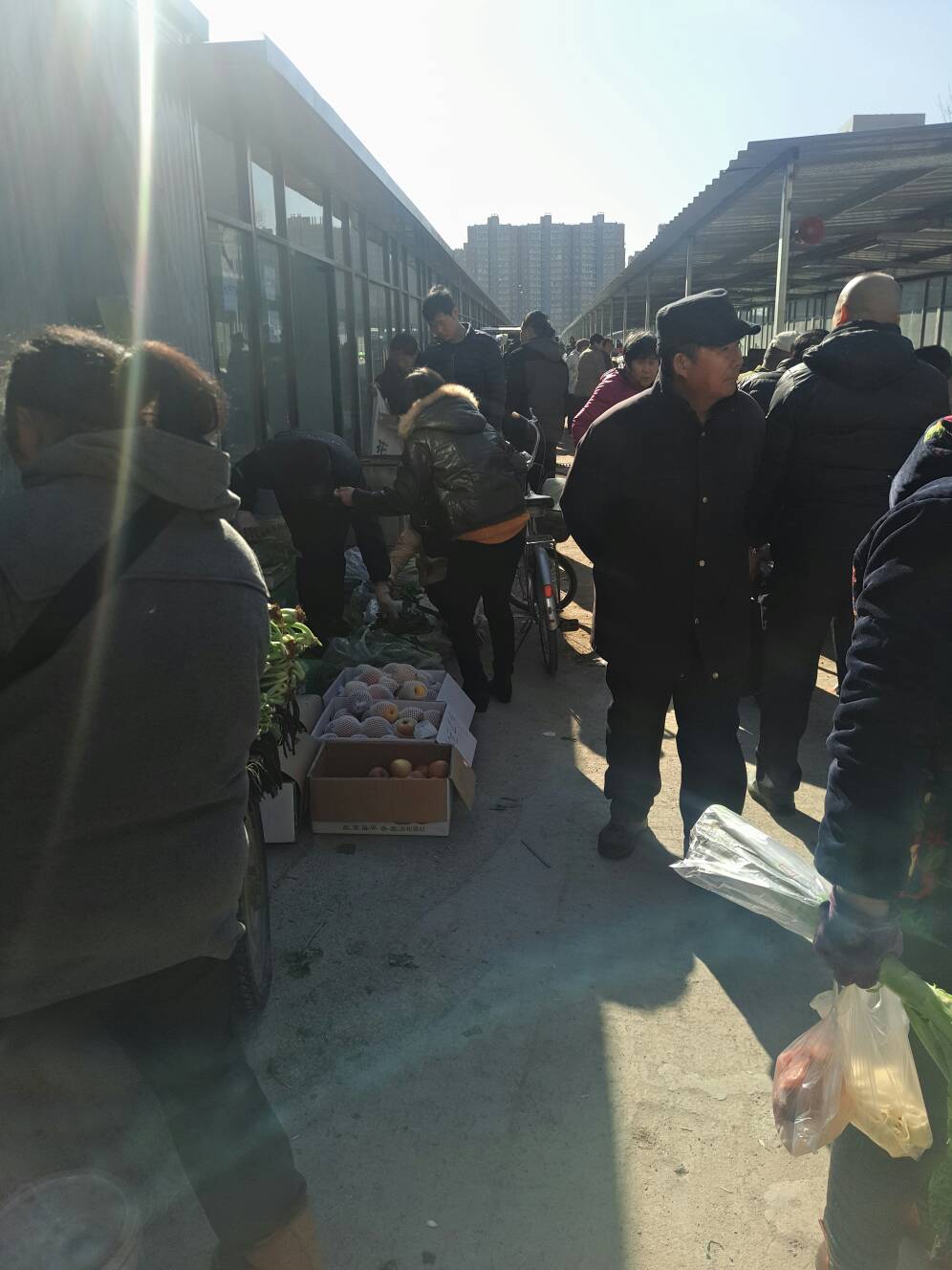 北京新开菜市场招商 - 面坊出售 - 面条网|重庆鲜